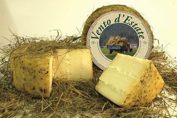 Formaggio vaccino